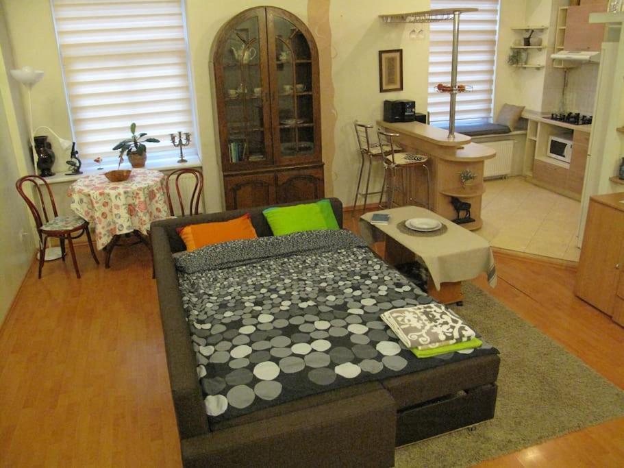 Private Entrance-2 Rooms-Old Town- Free Parking Vilnius Ngoại thất bức ảnh